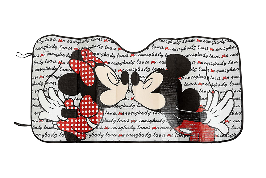 QUEBRA SOL PAINEL MINNIE