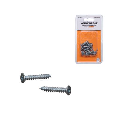 PARAFUSO GALVANIZADO 3X20MM 40 PECAS