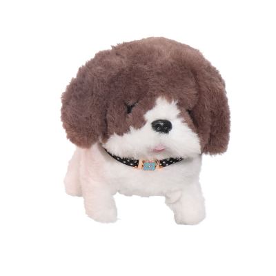 CACHORRINHO